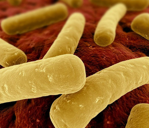 Microbe image.