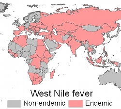 West Nile map.